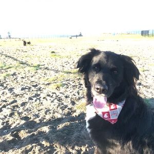 Meet your Posher, Audrey